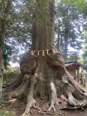 沓掛香取神社(茨城県)