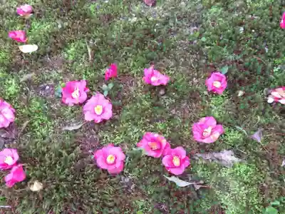 霊鑑寺門跡(京都府)