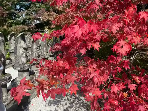 長圓寺の{uncategorized: "未分類", other: "その他", undefined: "問題あり", building: "その他建物", grave: "お墓", sacred_gate: "鳥居", guardian: "狛犬", statue: "像", buddha: "仏像", history: "歴史", nature: "自然", garden: "庭園", animal: "動物", pagoda: "塔", temizu: "手水舎", mountain_gate: "山門・神門", sanctuary: "本殿・本堂", subordinate: "末社・摂社", art: "芸術", scenery: "景色", jizo: "地蔵", ema: "絵馬", goshuin: "御朱印", omikuji: "おみくじ", items: "授与品その他", amulet: "お守り", goshuincho: "御朱印帳", eats: "食事", festival: "お祭り", votive_dance: "神楽", shichigosan: "七五三参", wedding: "結婚式", experience: "体験その他", initially: "初詣", around: "周辺", anti_infection: "感染症対策"}