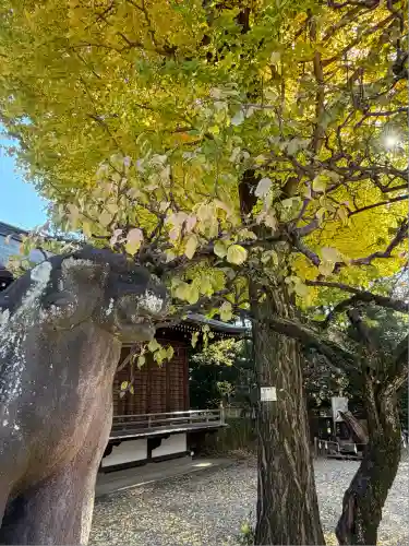 布多天神社(東京都)