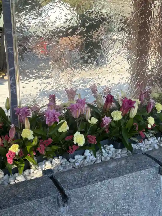 宮地嶽神社(福岡県)