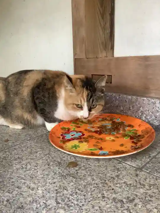 玉野御嶽神社の動物