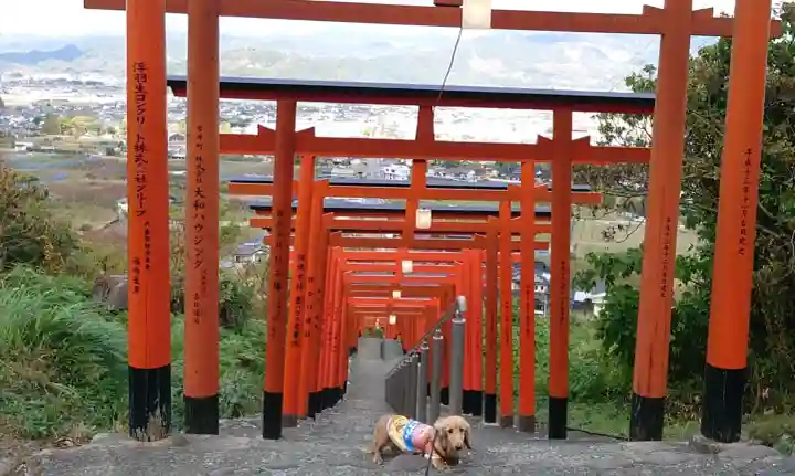 浮羽稲荷神社の{uncategorized: "未分類", other: "その他", undefined: "問題あり", building: "その他建物", grave: "お墓", sacred_gate: "鳥居", guardian: "狛犬", statue: "像", buddha: "仏像", history: "歴史", nature: "自然", garden: "庭園", animal: "動物", pagoda: "塔", temizu: "手水舎", mountain_gate: "山門・神門", sanctuary: "本殿・本堂", subordinate: "末社・摂社", art: "芸術", scenery: "景色", jizo: "地蔵", ema: "絵馬", goshuin: "御朱印", omikuji: "おみくじ", items: "授与品その他", amulet: "お守り", goshuincho: "御朱印帳", eats: "食事", festival: "お祭り", votive_dance: "神楽", shichigosan: "七五三参", wedding: "結婚式", experience: "体験その他", initially: "初詣", around: "周辺", anti_infection: "感染症対策"}