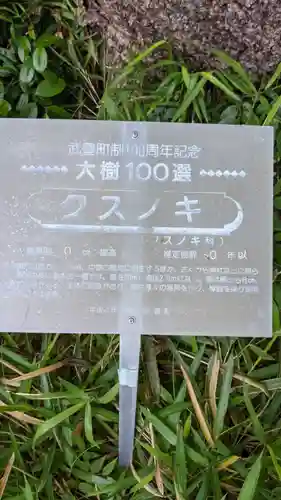 八幡社（下門八幡社）の自然