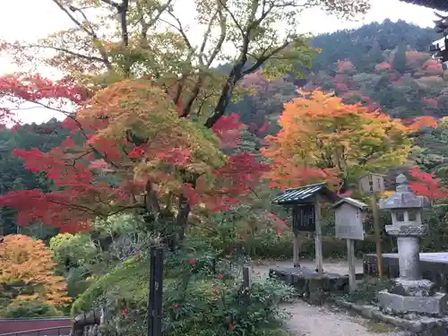 善峯寺の景色