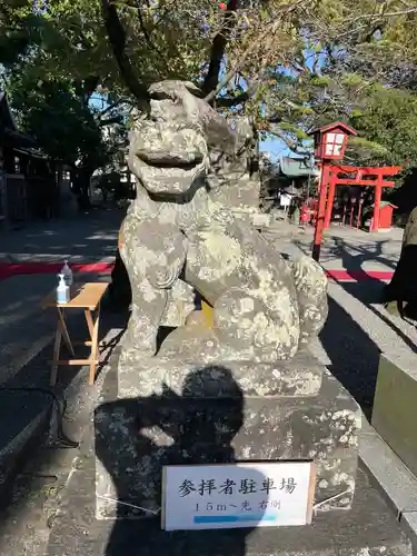 八坂神社の狛犬