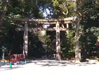 明治神宮の鳥居