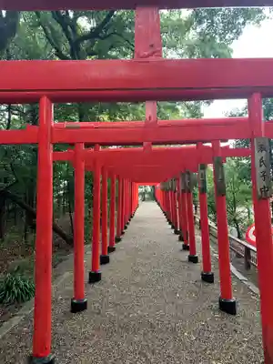 彌都加伎神社の鳥居