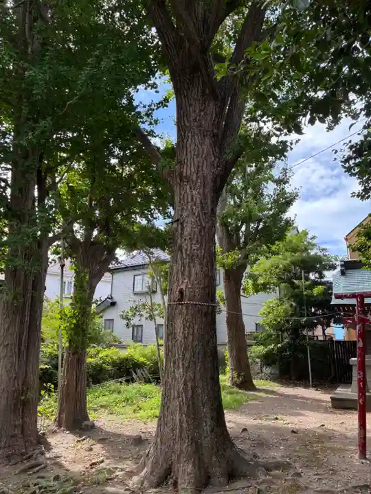 春日神社(神奈川県)