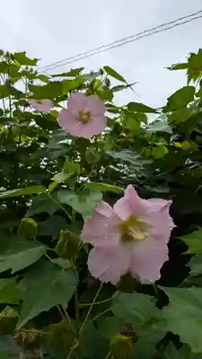 本法寺(京都府)