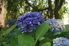 豊景神社の庭園