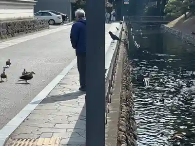 鑁阿寺(栃木県)