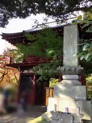 本土寺の山門・神門