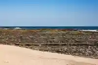 青島神社(青島神宮)(宮崎県)