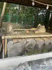 椿大神社の手水