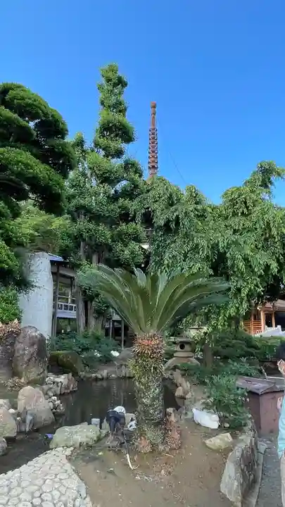 楽法寺(雨引観音)の自然