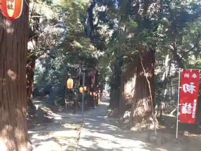 日吉神社(千葉県)