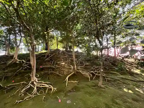 城南宮(京都府)