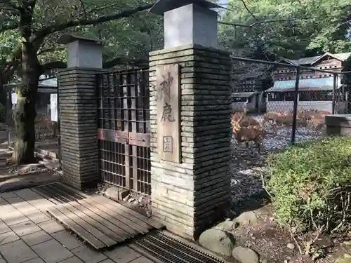 三嶋大社の動物