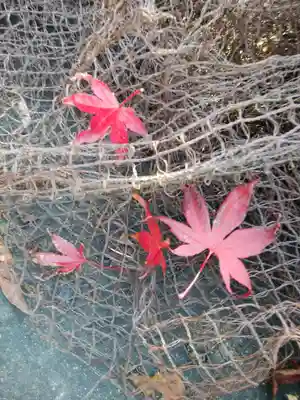 羅臼神社(北海道)
