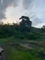 弁財天(千葉県)