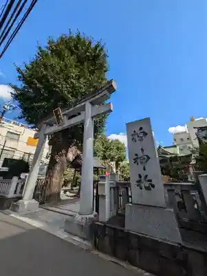 柏神社(千葉県)