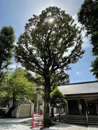 蛇窪神社の自然