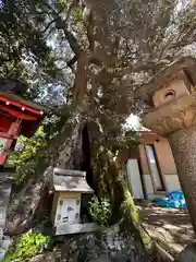 楢神社(奈良県)