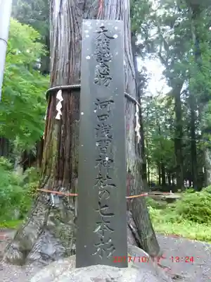 河口浅間神社(山梨県)
