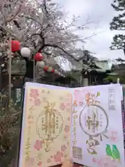 桜神宮の御朱印