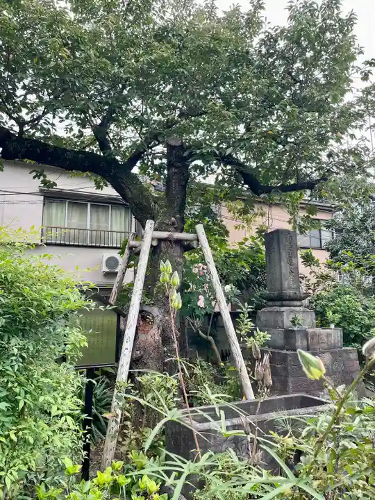 谷中 妙福寺(東京都)