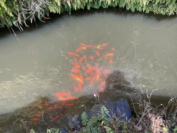 銭洗弁財天宇賀福神社(神奈川県)