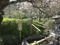 長谷寺(神奈川県)