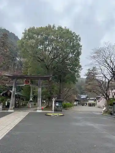 高麗神社の鳥居