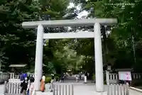 阿佐ヶ谷神明宮の鳥居