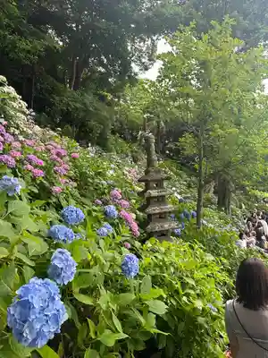 長谷寺(神奈川県)