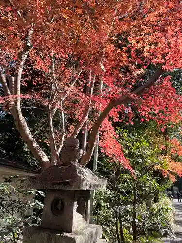 石清水八幡宮(京都府)