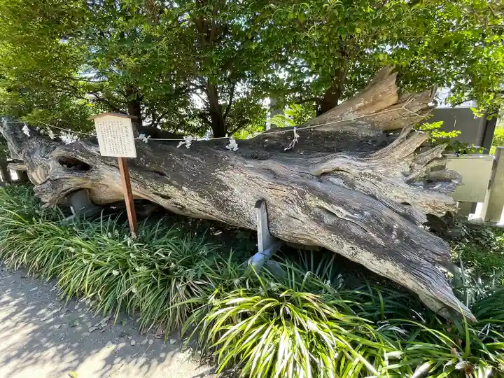 瀬戸神社(神奈川県)