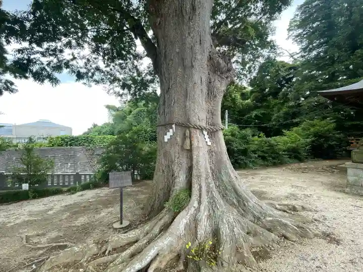素鵞神社(茨城県)