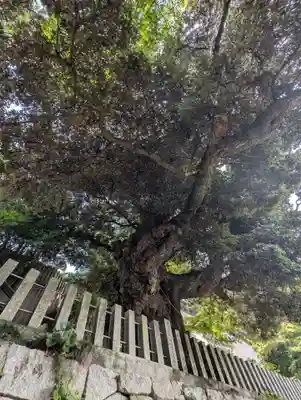 楽法寺（雨引観音）(茨城県)