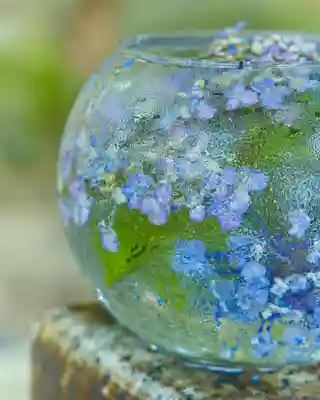 玉村八幡宮(群馬県)