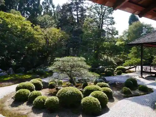 曼殊院門跡の庭園