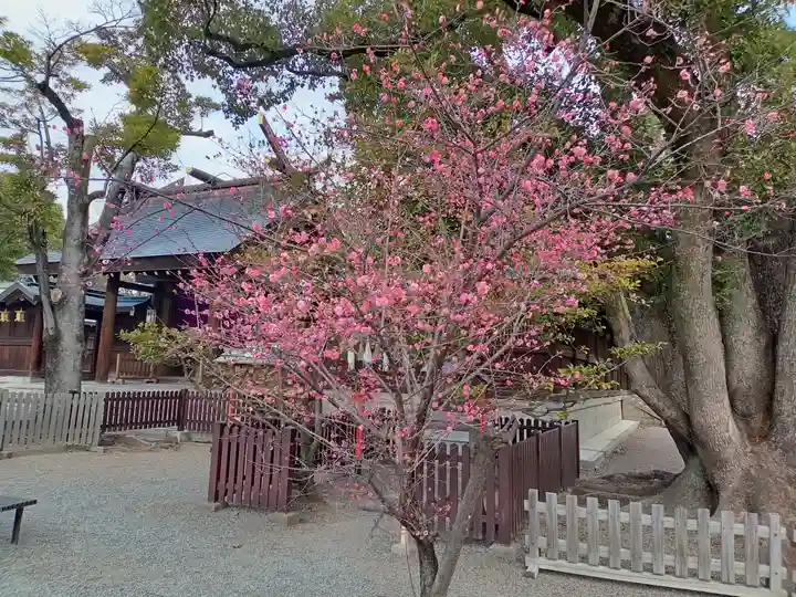 和泉國一之宮 大鳥大社(大阪府)