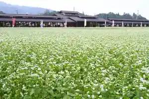 【公式】龍門院常楽寺(秩父札所十一番)の景色(2024年06月12日(水) 16時40分13秒投稿)