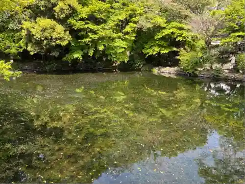 富士山本宮浅間大社(静岡県)
