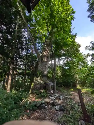鹿島神社(福島県)