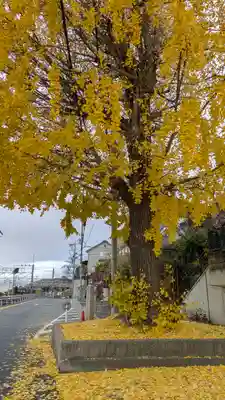 山崎院跡(京都府)