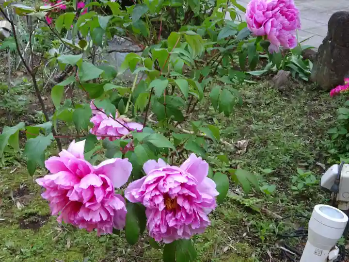 八幡山観音寺(神奈川県)