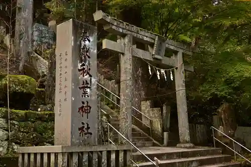 秋葉神社(高知県)