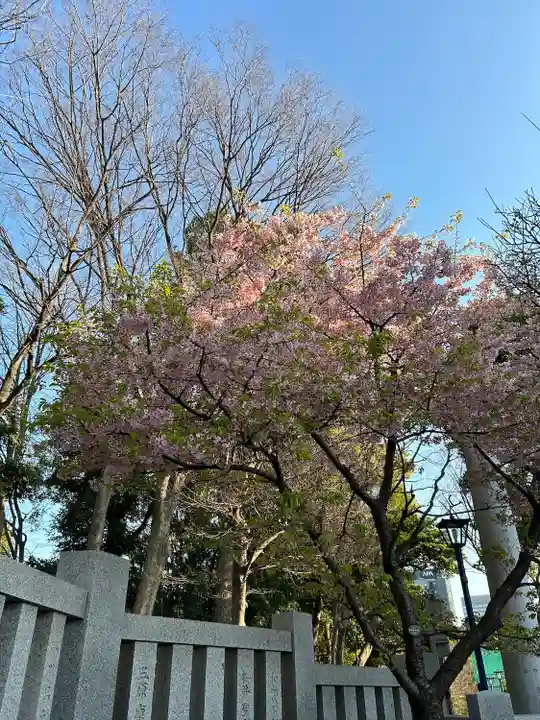 五條天神社の自然